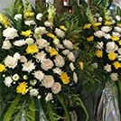 鮮花租賃
